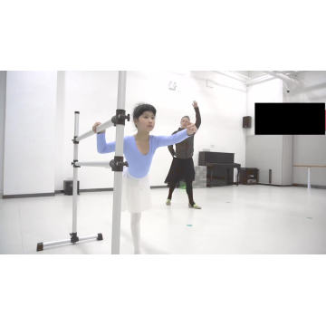 Équipement de fitness Gym Ballet Barre